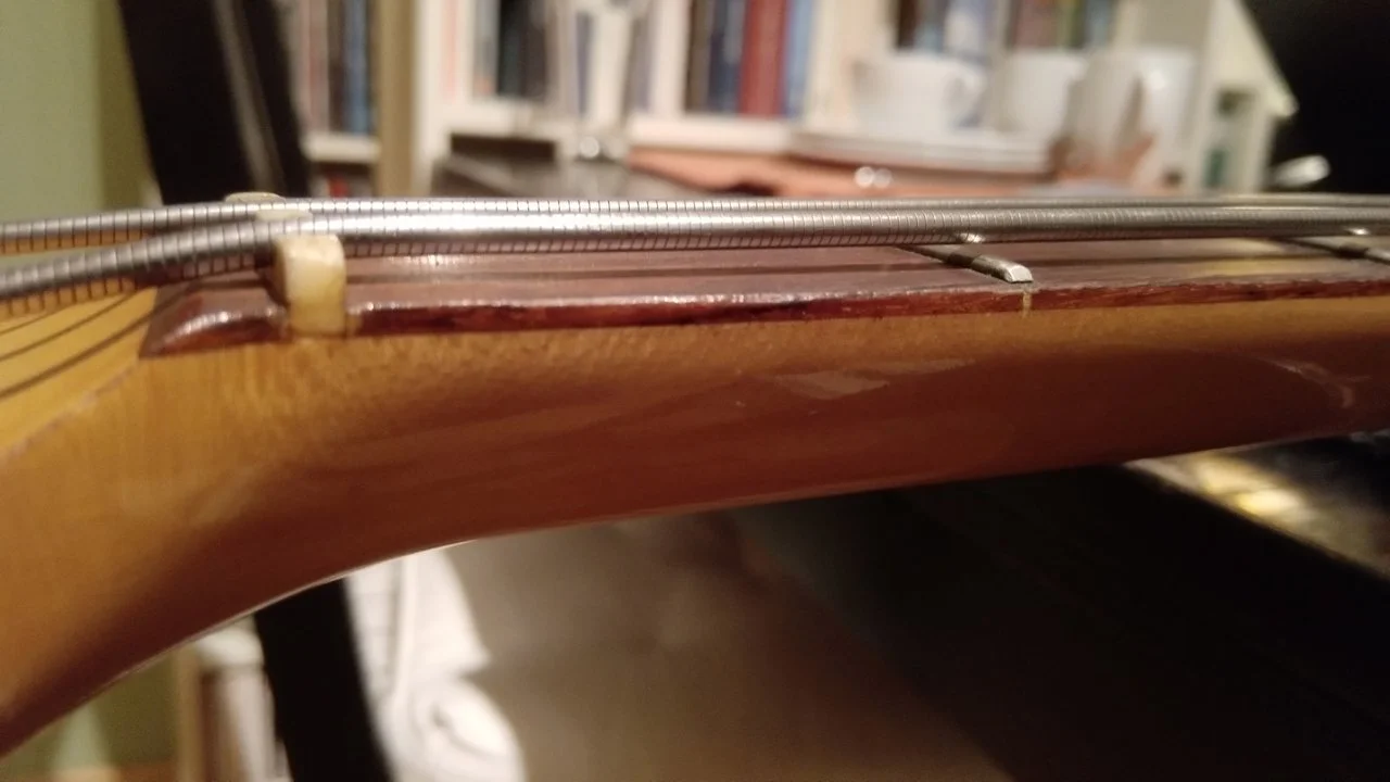 IMG_20200401_205248 (1).webp