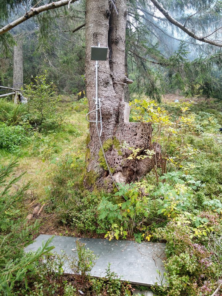IMG_20200906_105811720_HDR~2.jpg