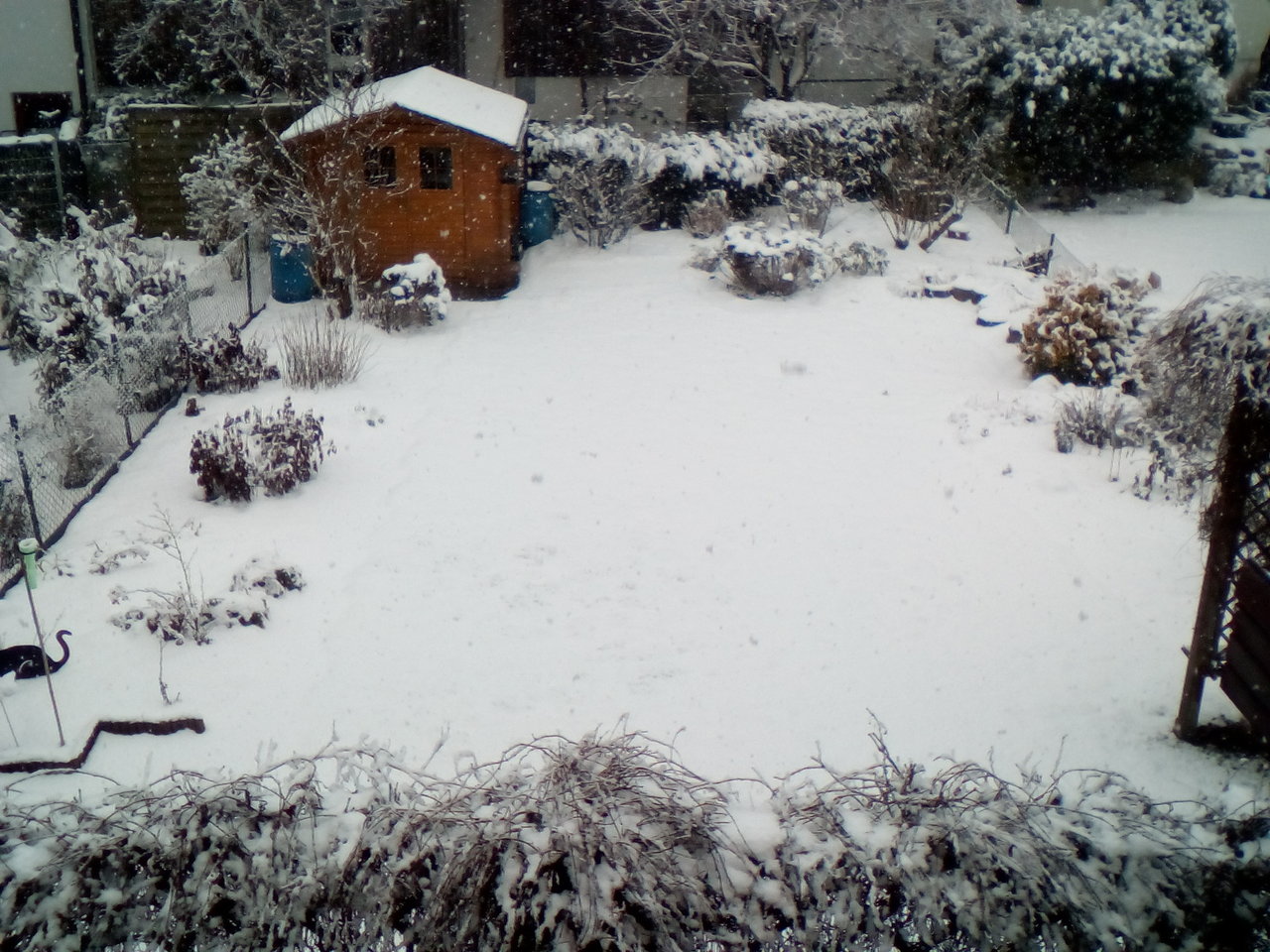 IMG_20210117_154317.jpg