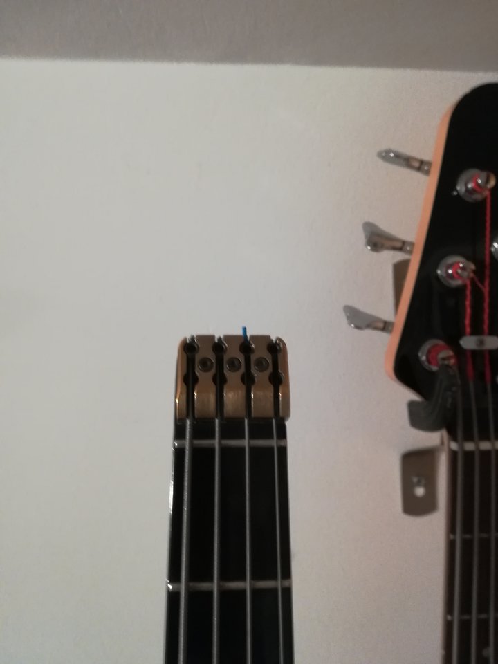 IMG_20220117_090457.jpg