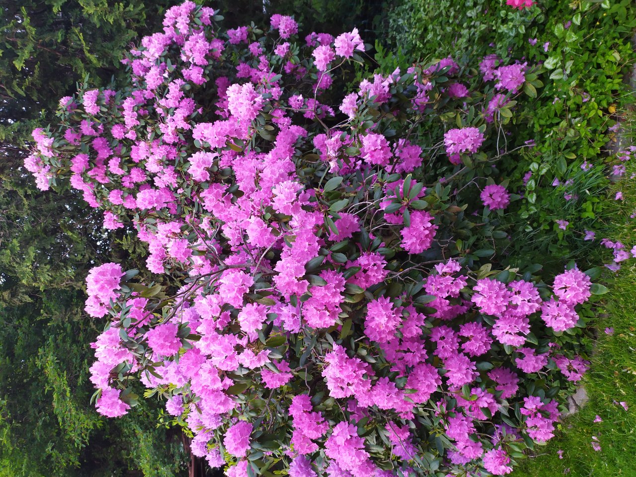 IMG_20220530_213045.jpg