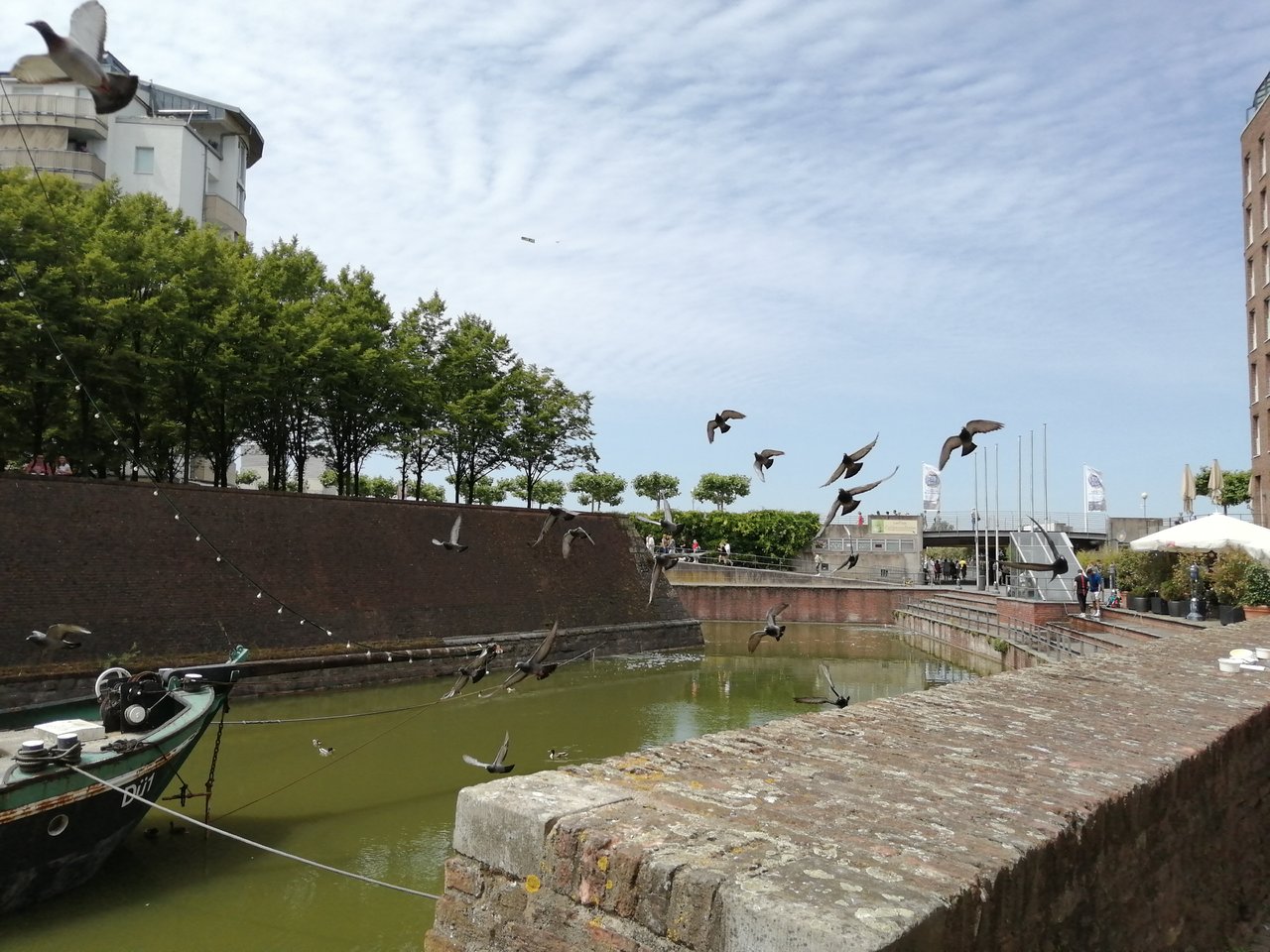 IMG_20220617_131350.jpg