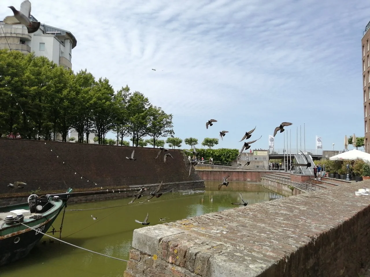 IMG_20220617_131350.jpg