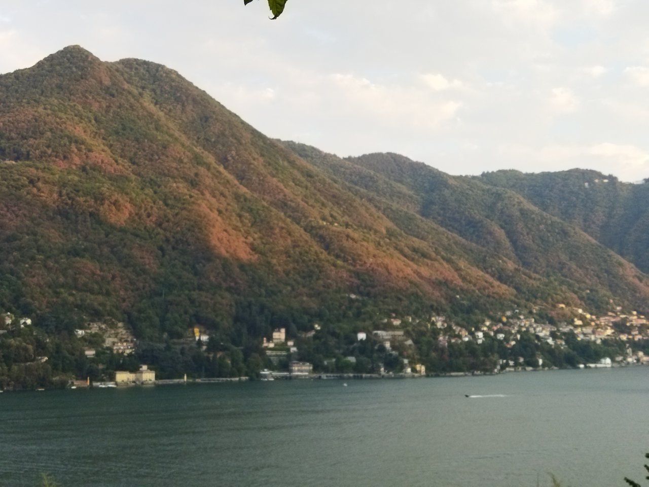 IMG_20220811_195607.jpg