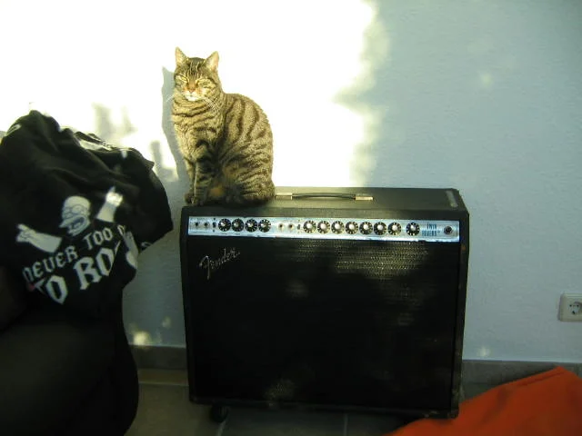 IMG_2106.webp