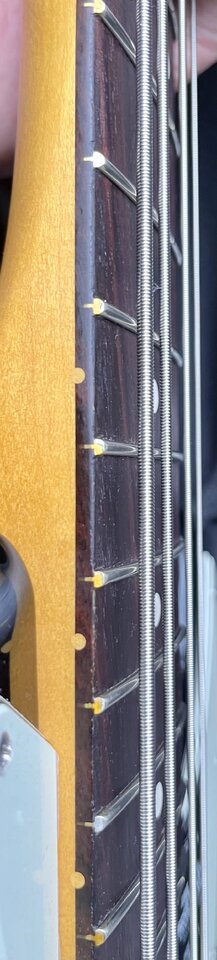 IMG_2241.jpeg