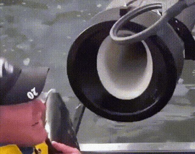 IMG_2540.gif