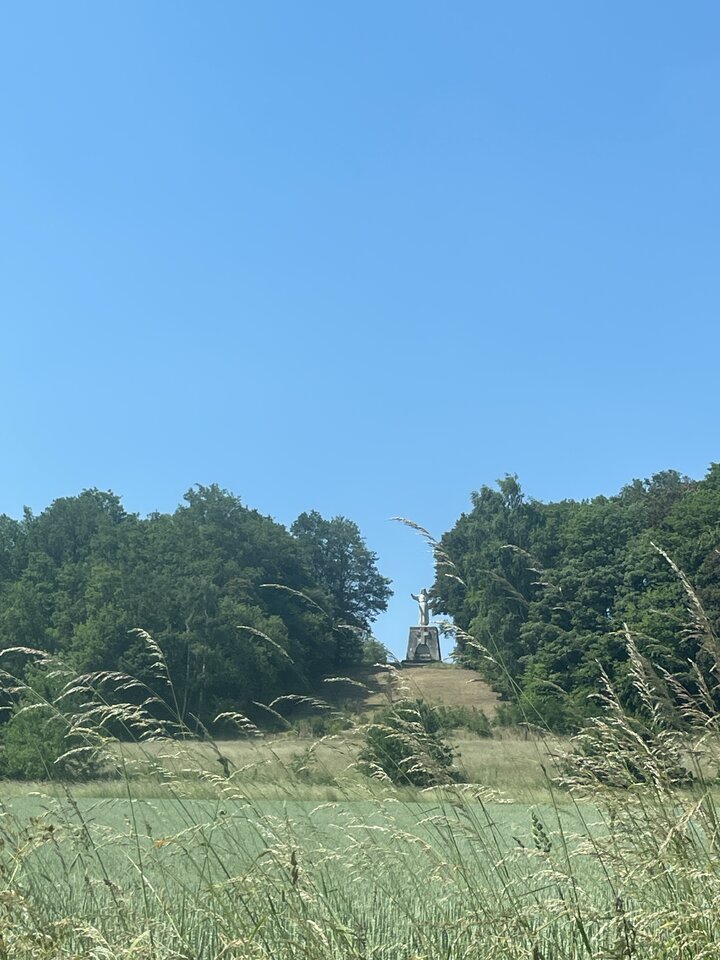 IMG_2938.jpeg