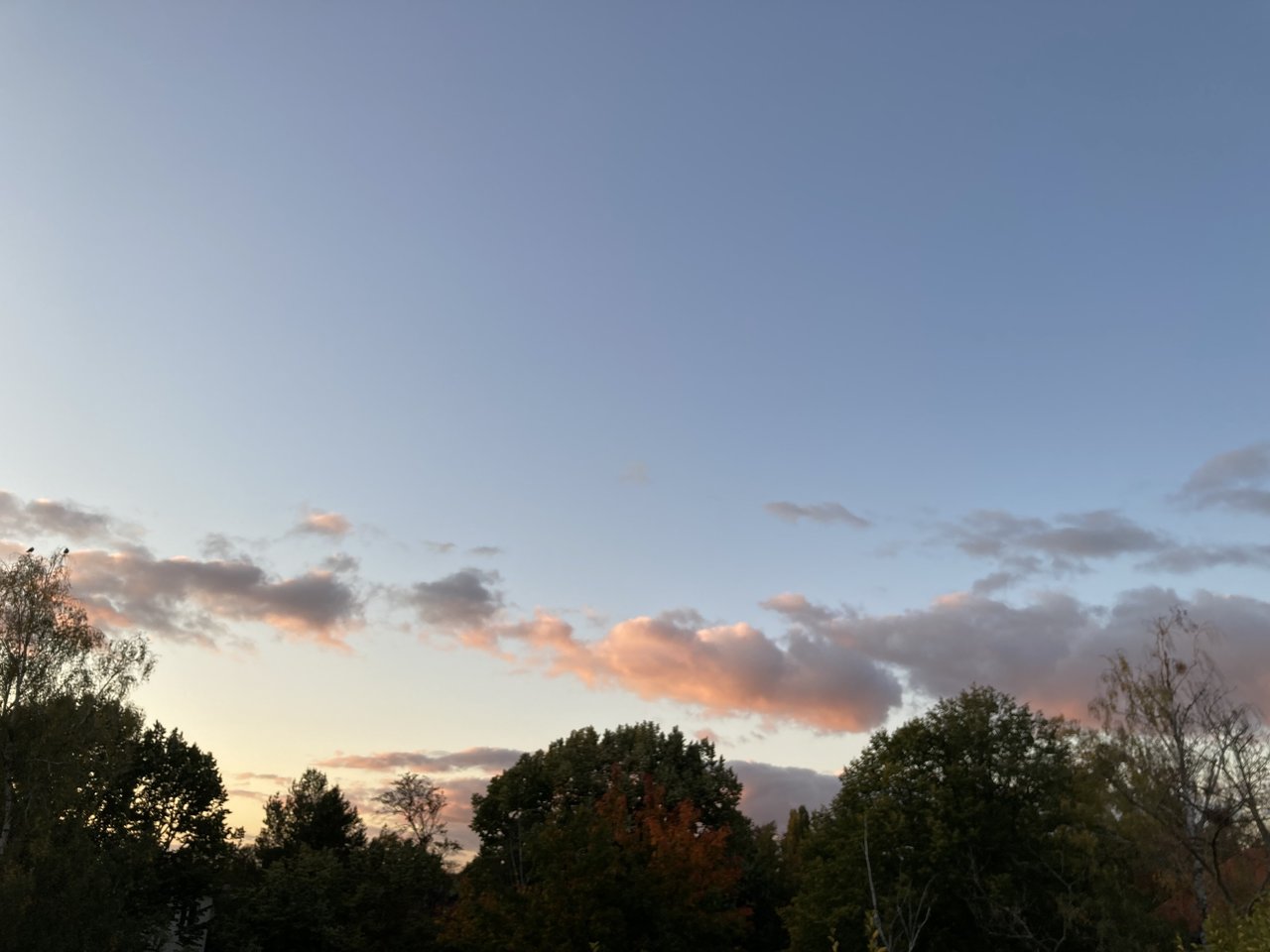 IMG_3244.jpeg