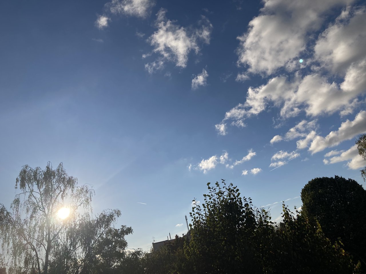 IMG_3385.jpeg