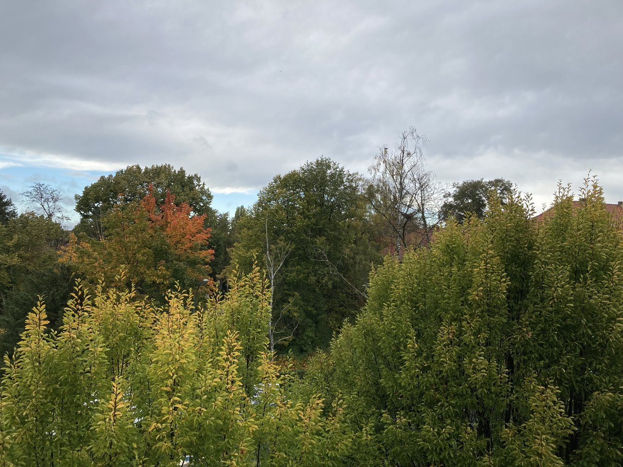 IMG_3421.jpeg
