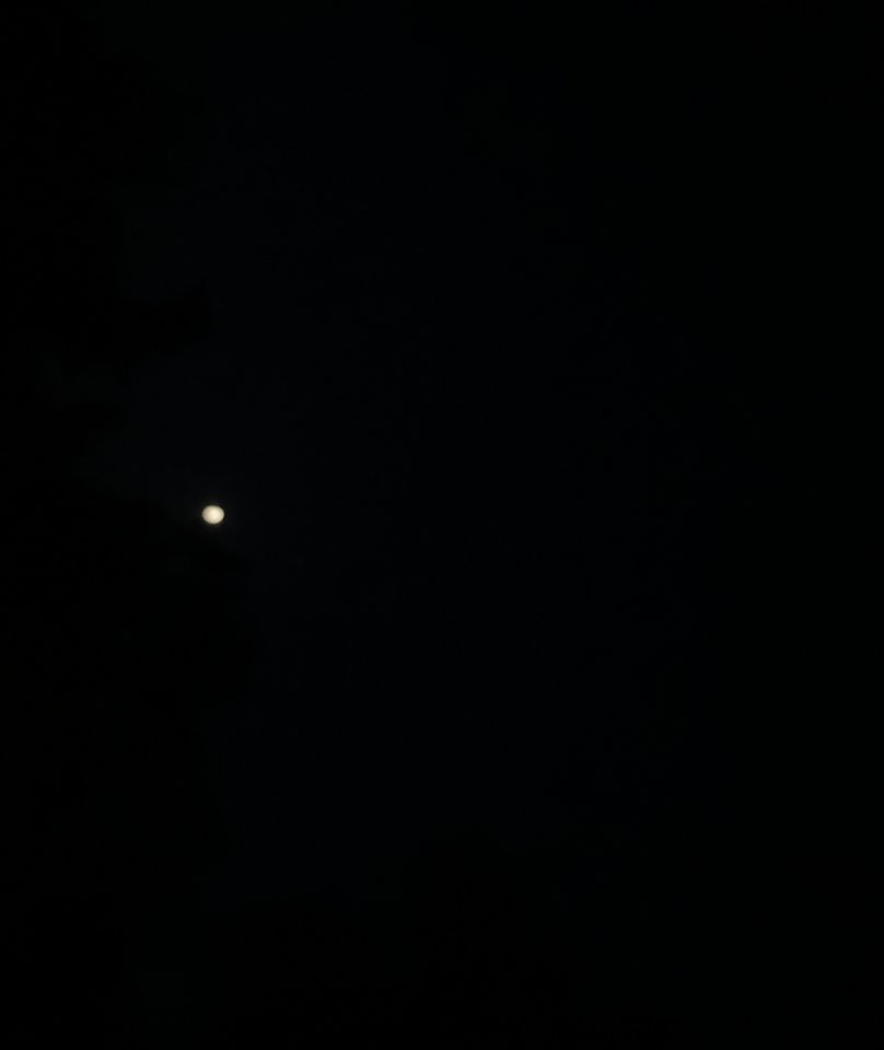 IMG_3559.jpeg