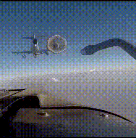 IMG_3916.gif