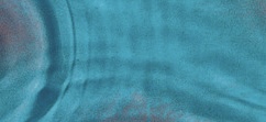 IMG_3990.jpeg