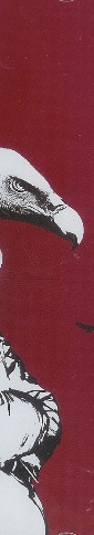 IMG_4108.jpeg