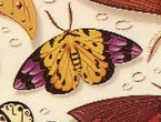 IMG_4121.jpeg