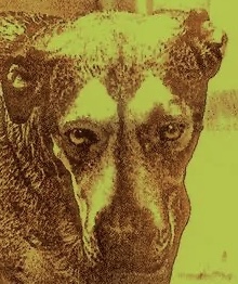 IMG_4122.jpeg