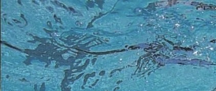 IMG_4200.jpeg