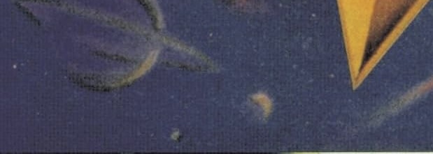 IMG_4297.jpeg