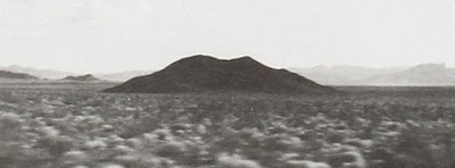 IMG_4300.jpeg