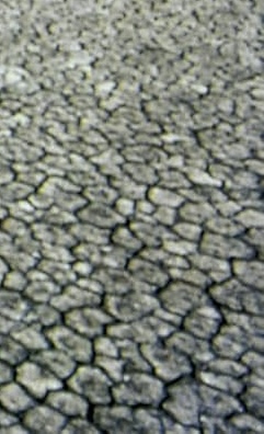 IMG_4324.jpeg