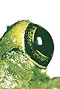 IMG_4330.jpeg