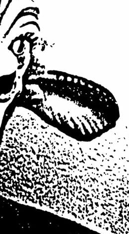 IMG_4364.jpeg
