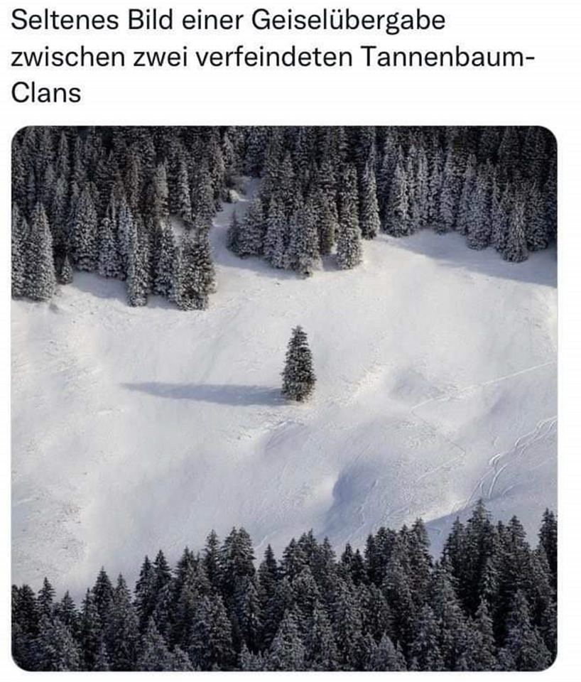 IMG_4494.png