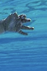 IMG_4600.jpeg