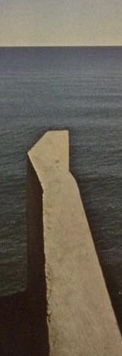 IMG_4637.jpeg