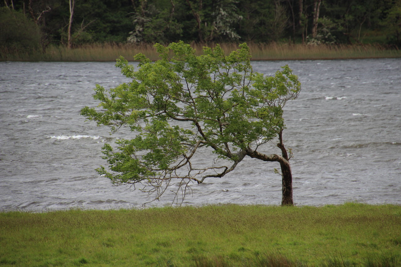 IMG_7291.JPG