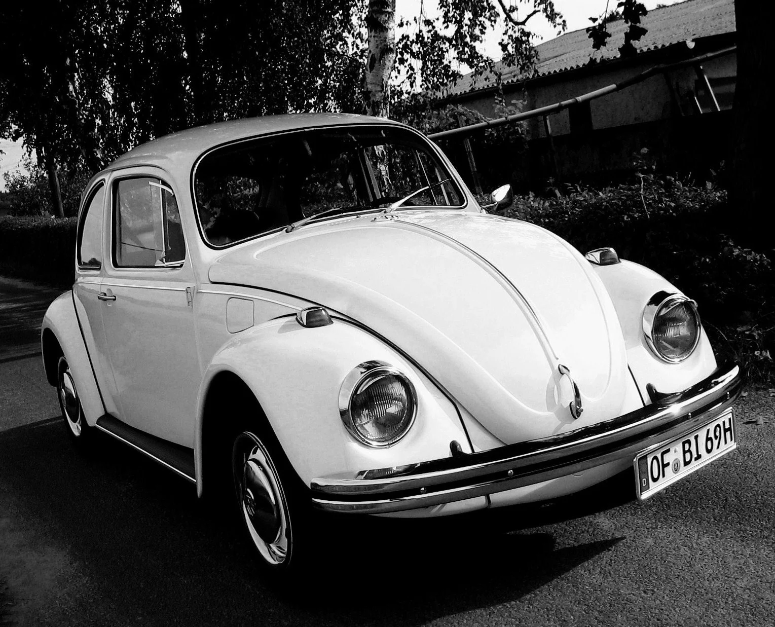 IMG_7373 - Kopie.webp