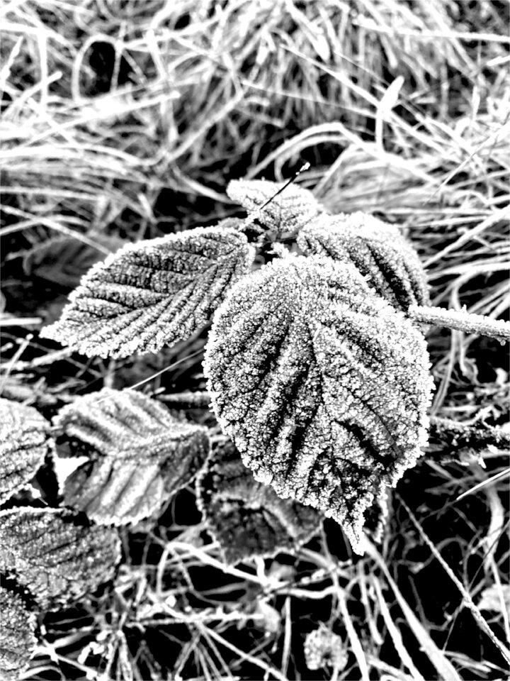 IMG_7705.jpeg