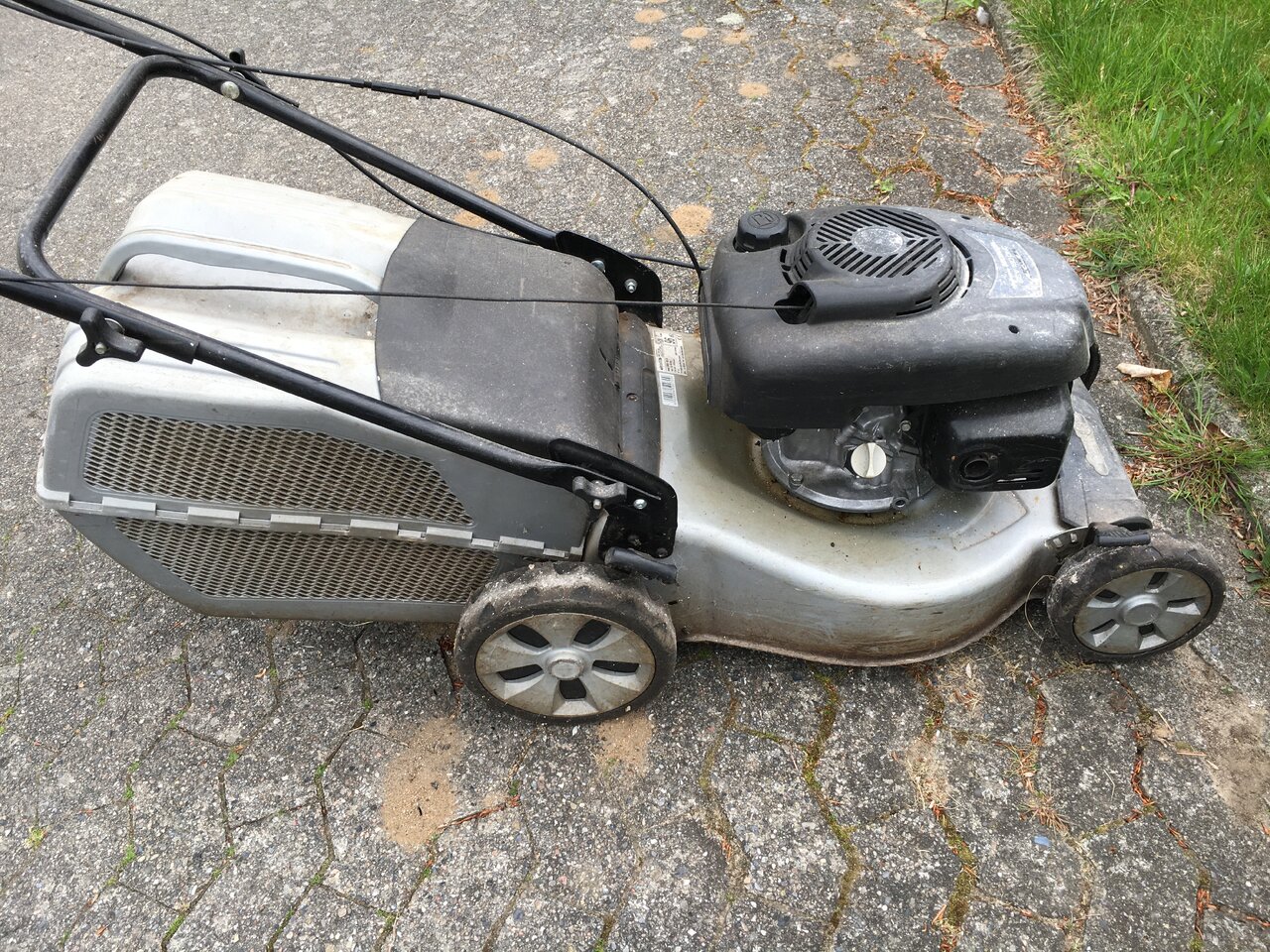 IMG_9781.JPEG