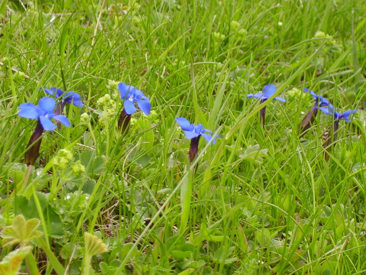 IMGP3973.JPG
