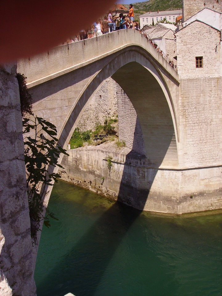 IMGP4439.JPG