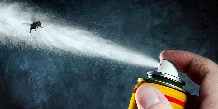Insektenspray.jpg