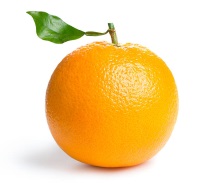 istockphoto-185284489-612x612.jpg