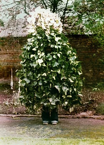 Jack in thr green.webp