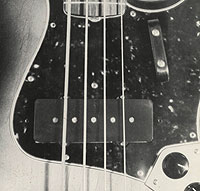 Jazzbass 5 pol.jpg