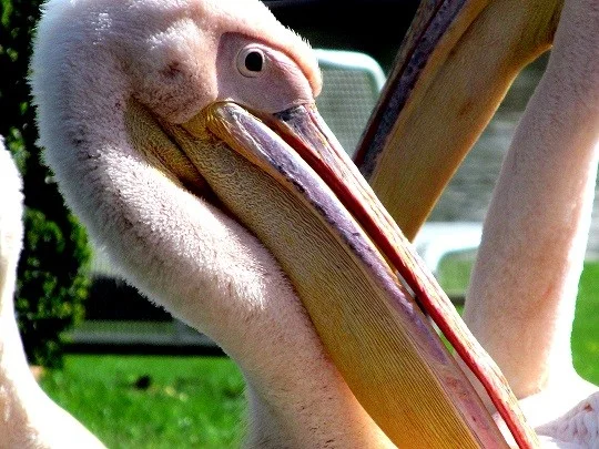 KA_Tierpark_08042018 114.webp