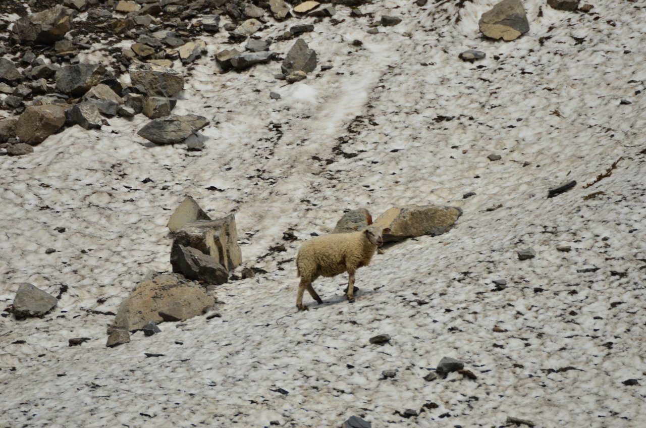 KAR_0373.JPG