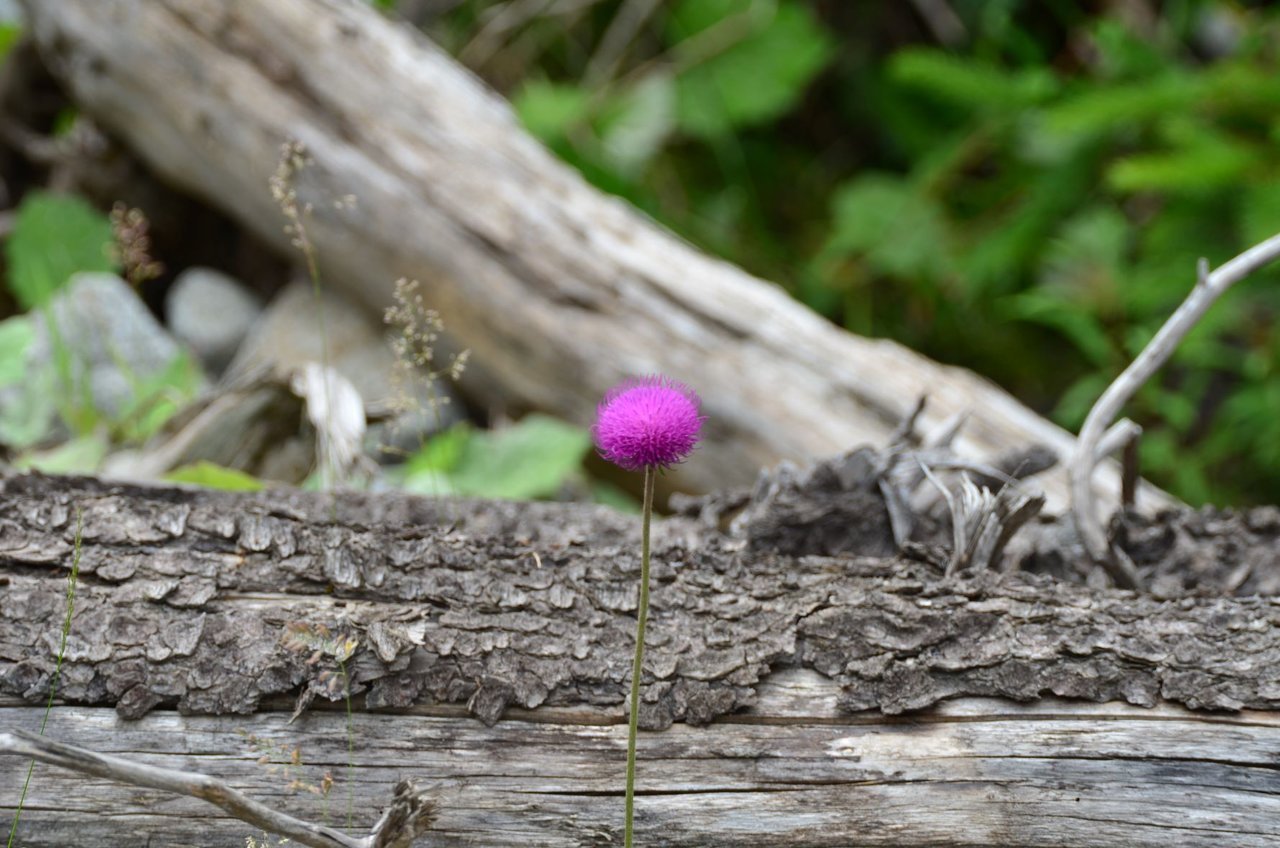 KAR_0452.JPG