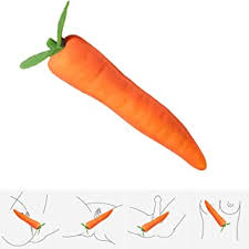 Karotte2.png