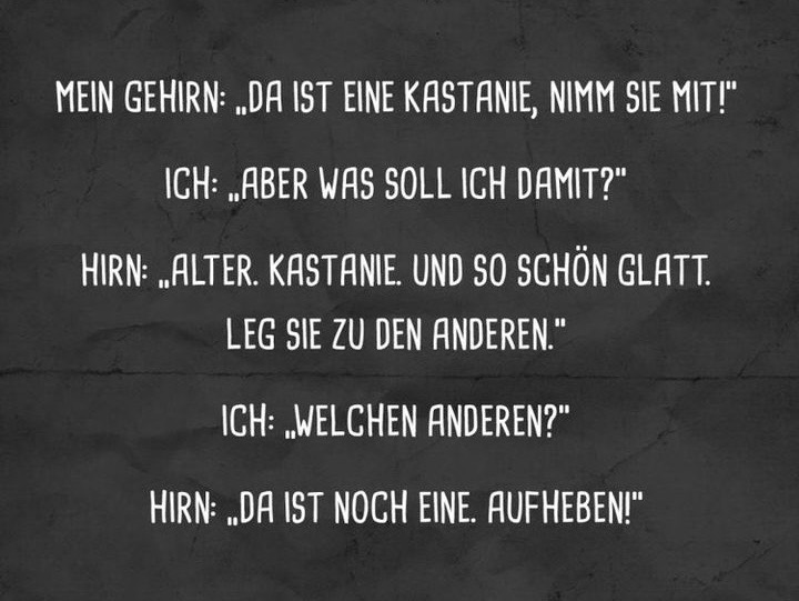 Kastanien.jpg