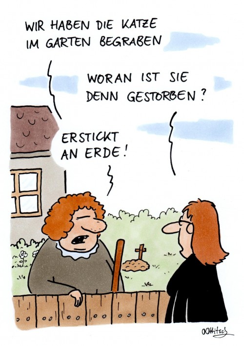 Katze erstickt.jpg
