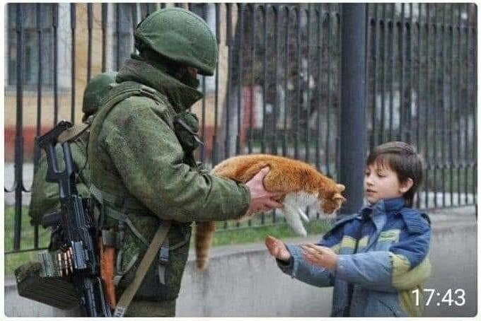 Katze.jpg