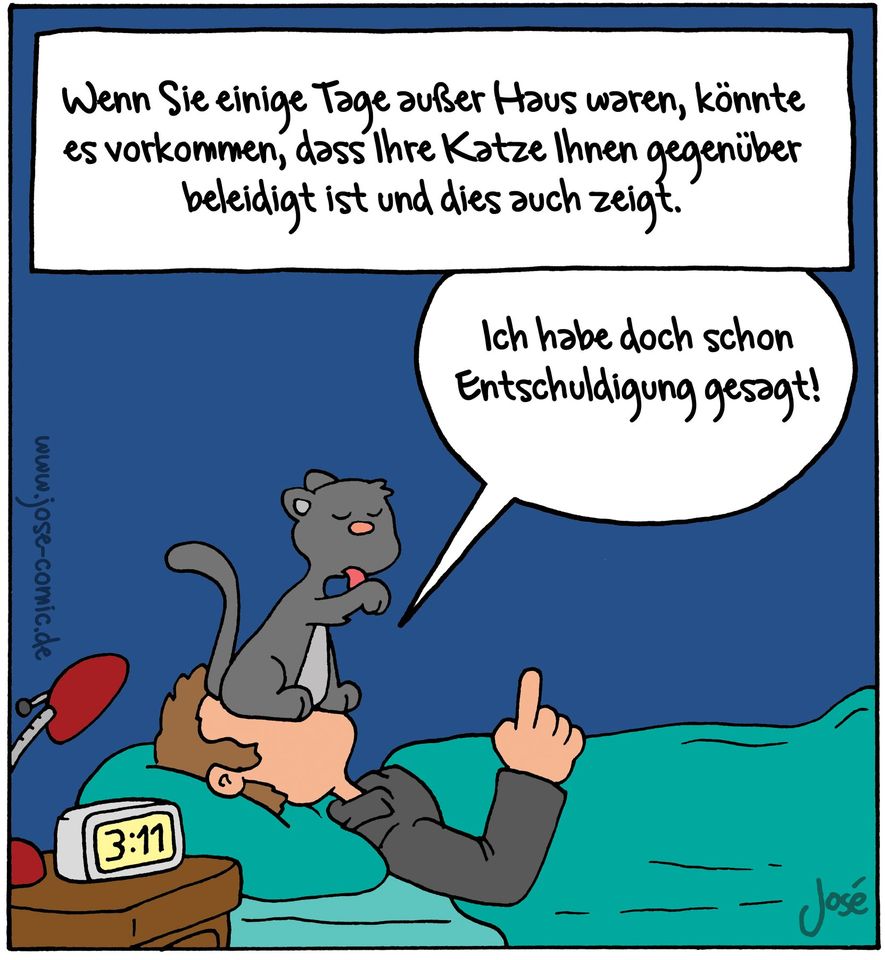 katze.jpg