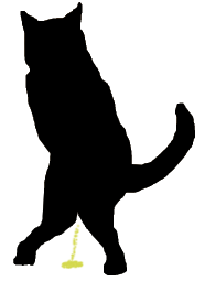 katze-pinkelt-in-wohnung-2.png