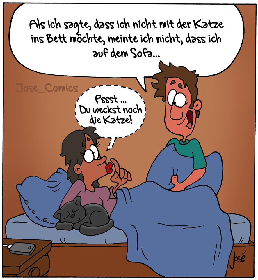 Katze02.jpg